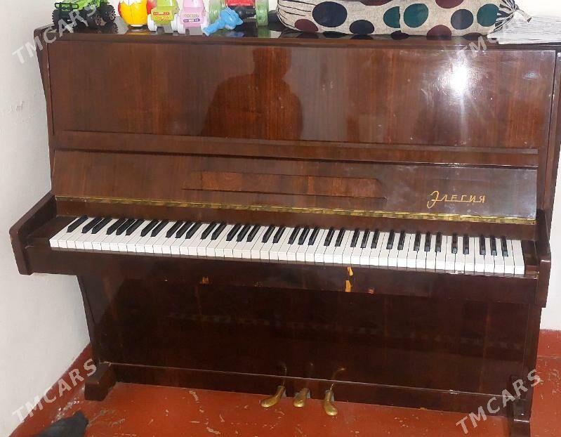 pionina - Aşgabat - img 1