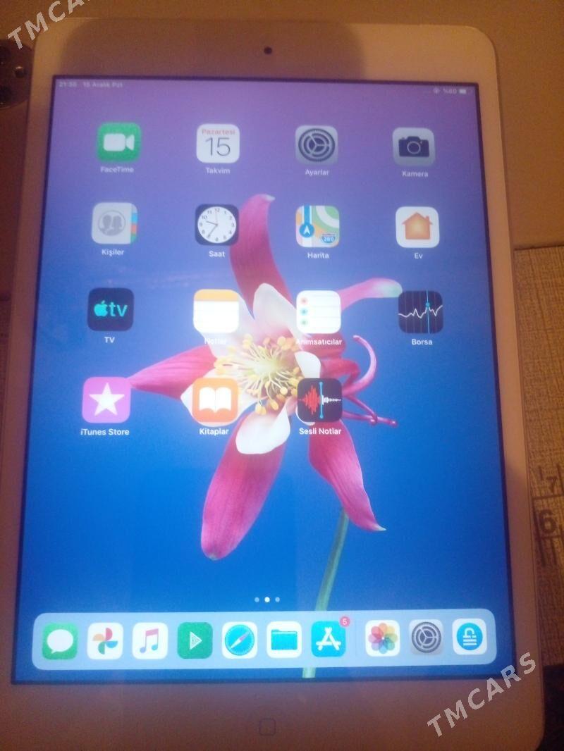 aypet mini - Daşoguz - img 1