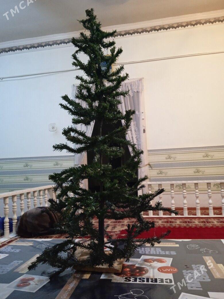 ёлка - Дашогуз - img 1