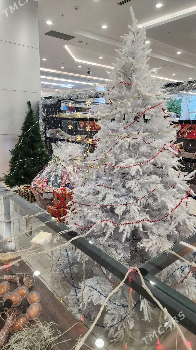 Tazeyyl Sowgat Girlyanda Yolka - Aşgabat - img 1