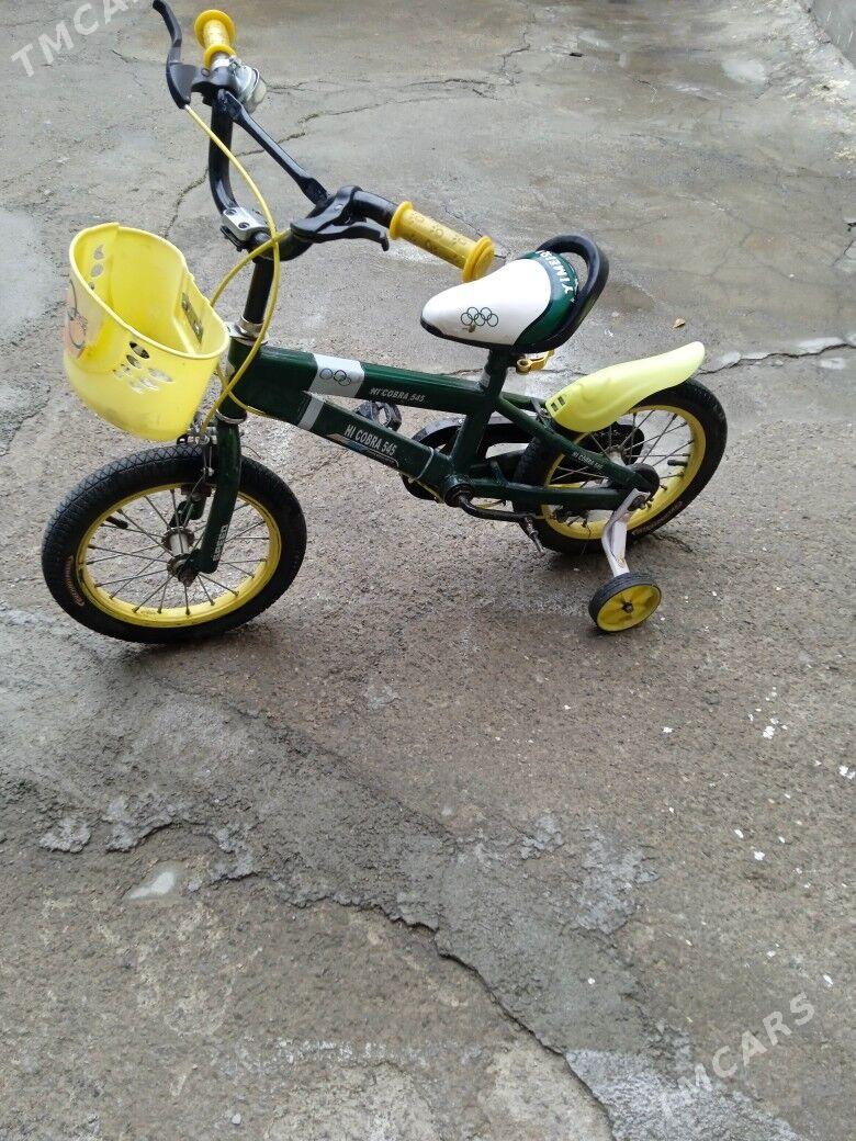 tigir - Kim raýon - img 1