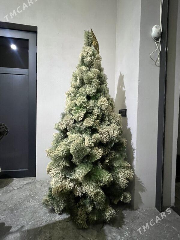 tazeyyl arcasy yolka - Aşgabat - img 1