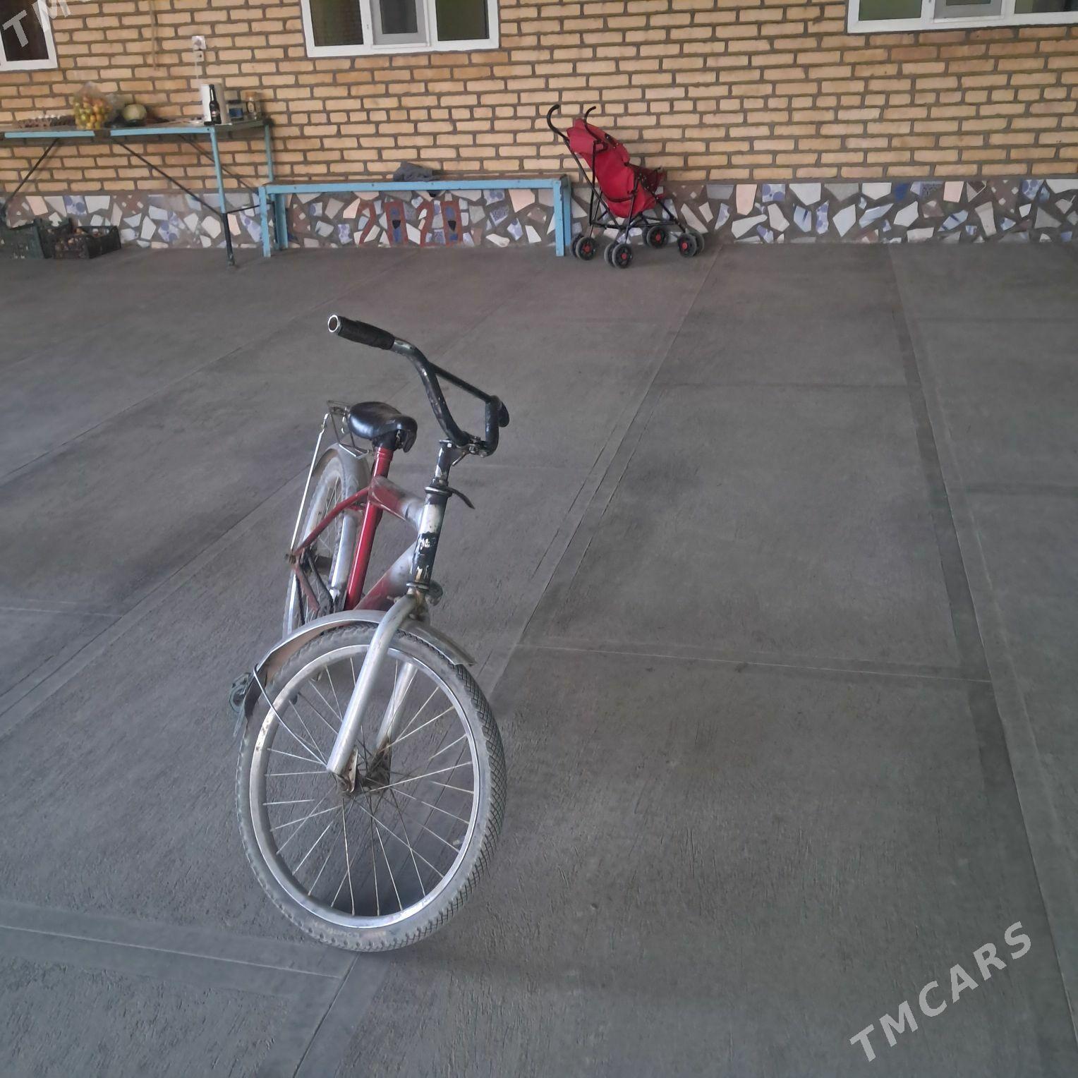 tigir - Кака - img 1