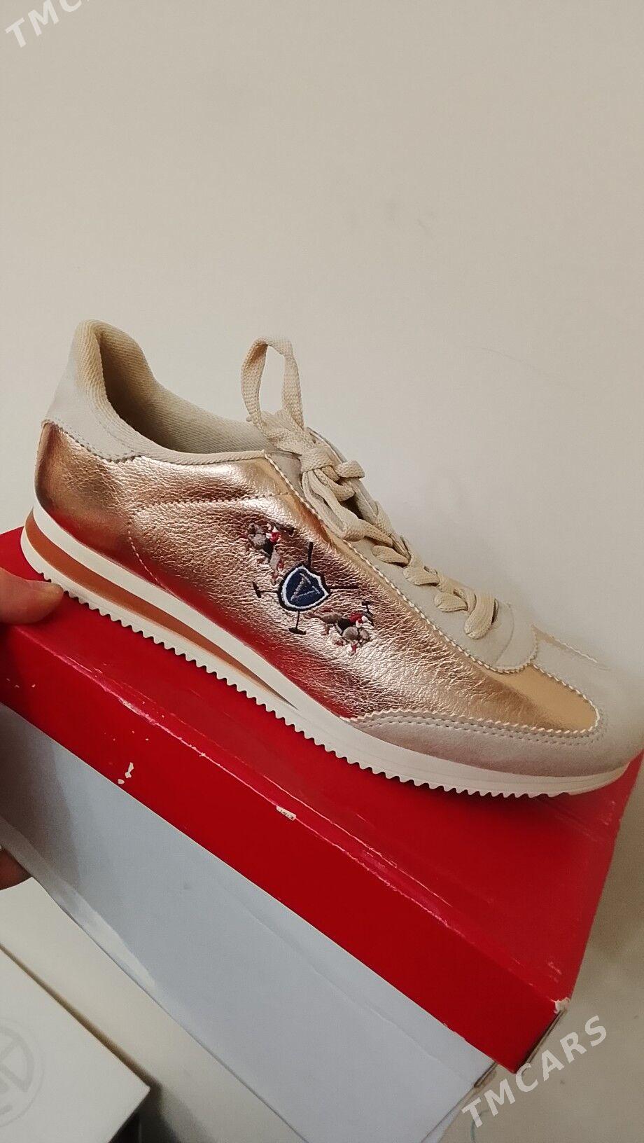 Krasowka - Дашогуз - img 1