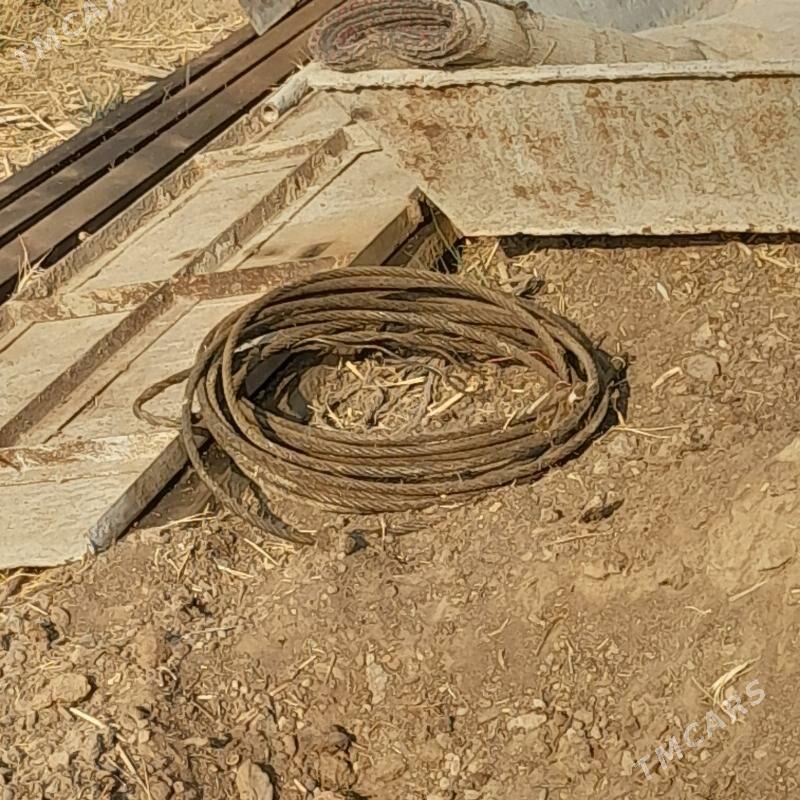 tross - Mary - img 1