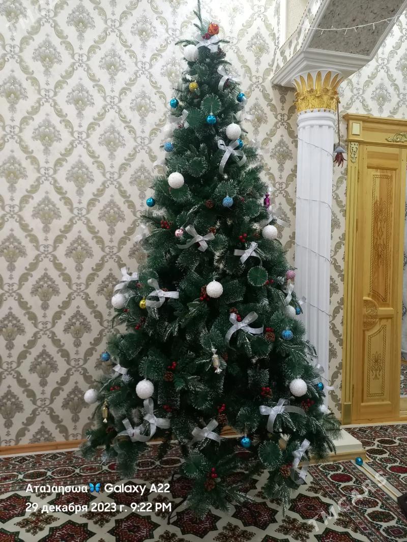 arca - Daşoguz - img 1