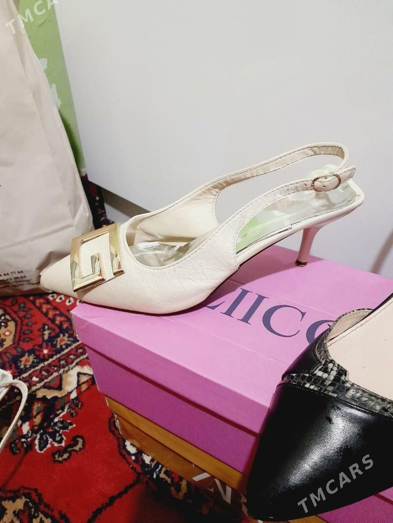 kowus - Анев - img 1