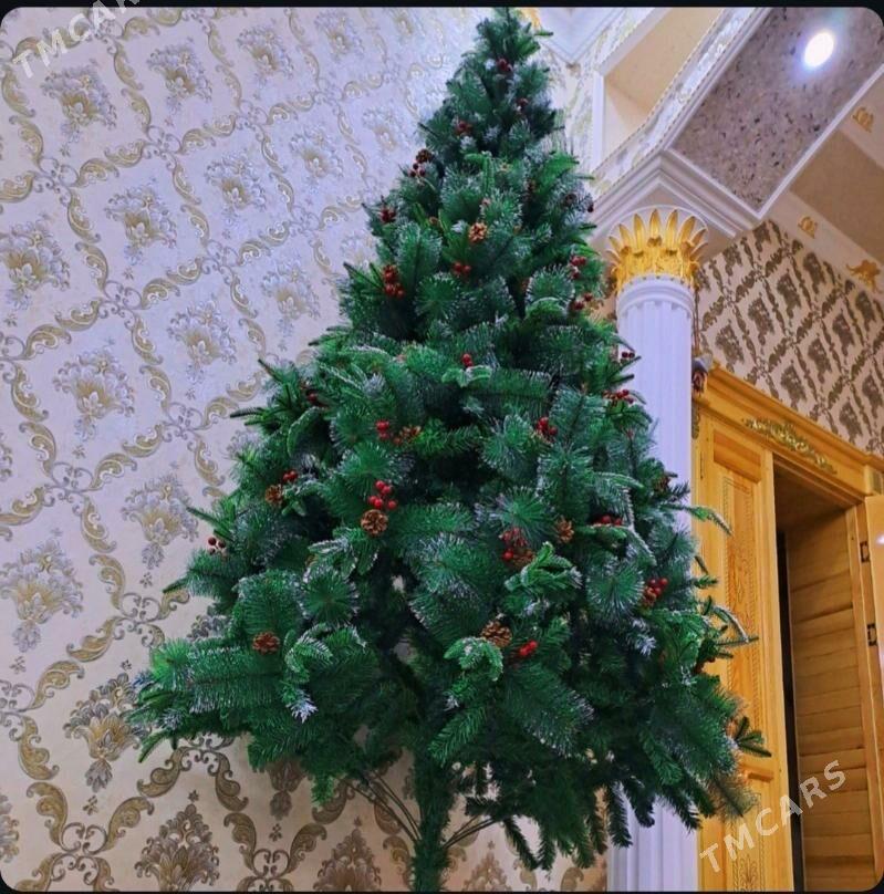 Ýolka - Шабатский этрап - img 1