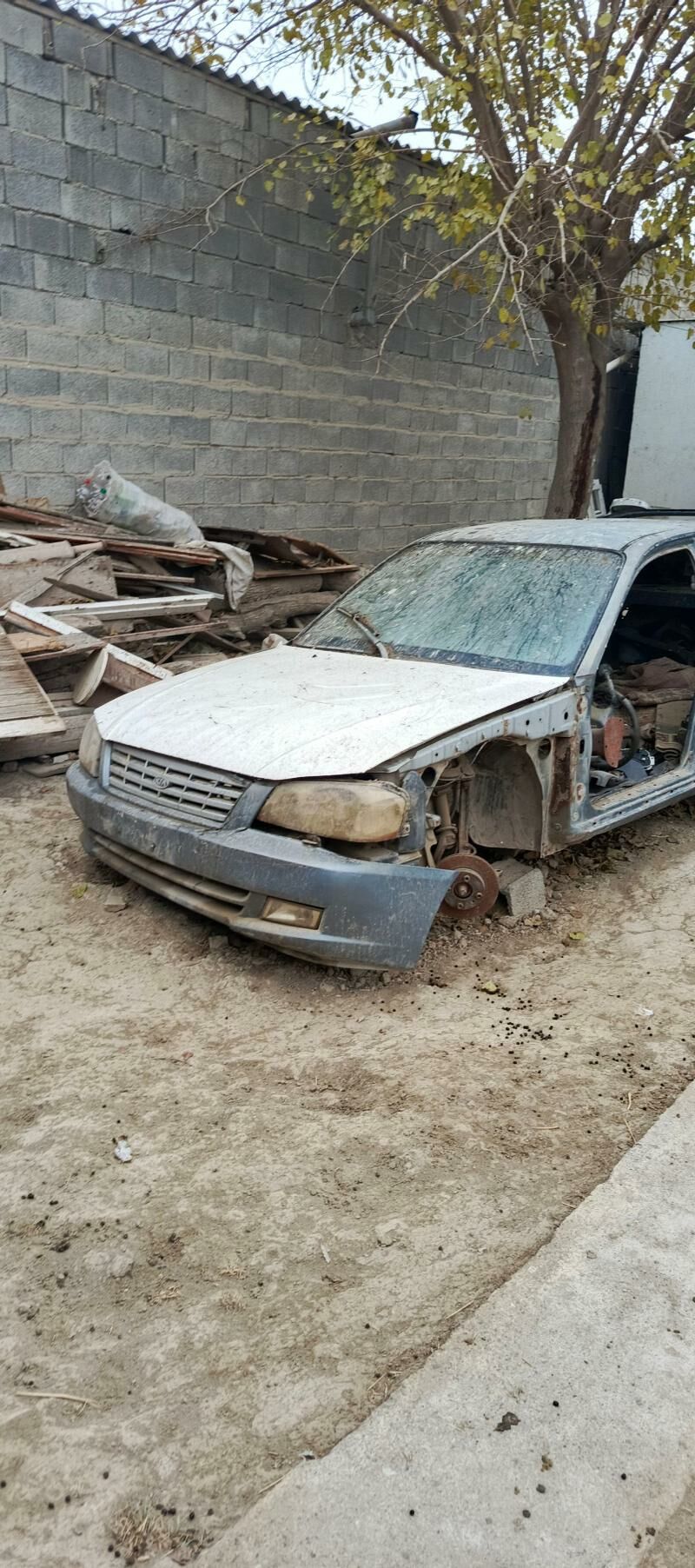 kuzwa 3 000 TMT - Яшлык - img 1