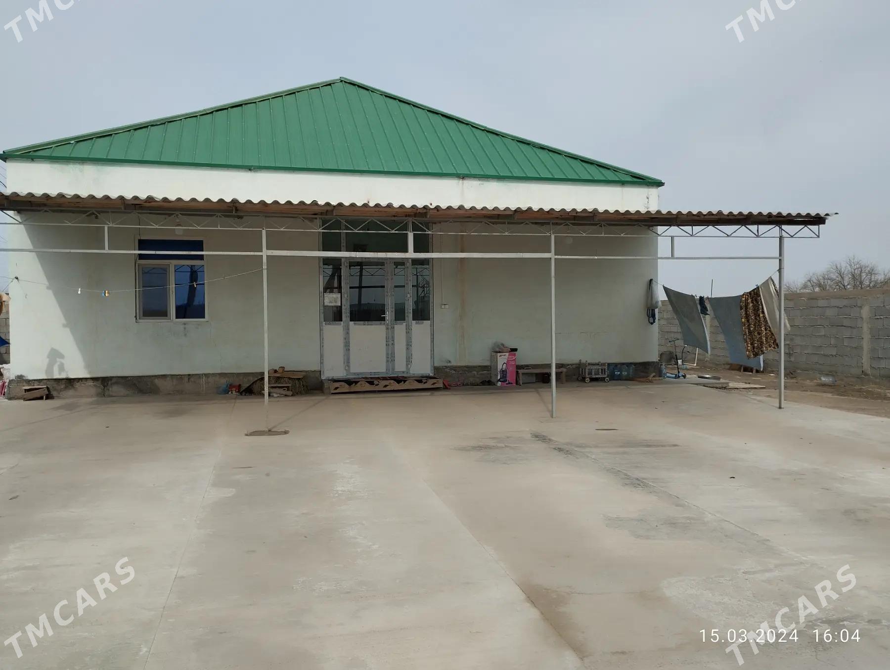 Taze durmus (9 komisar) JAY - Ak bugdaý etraby - img 1