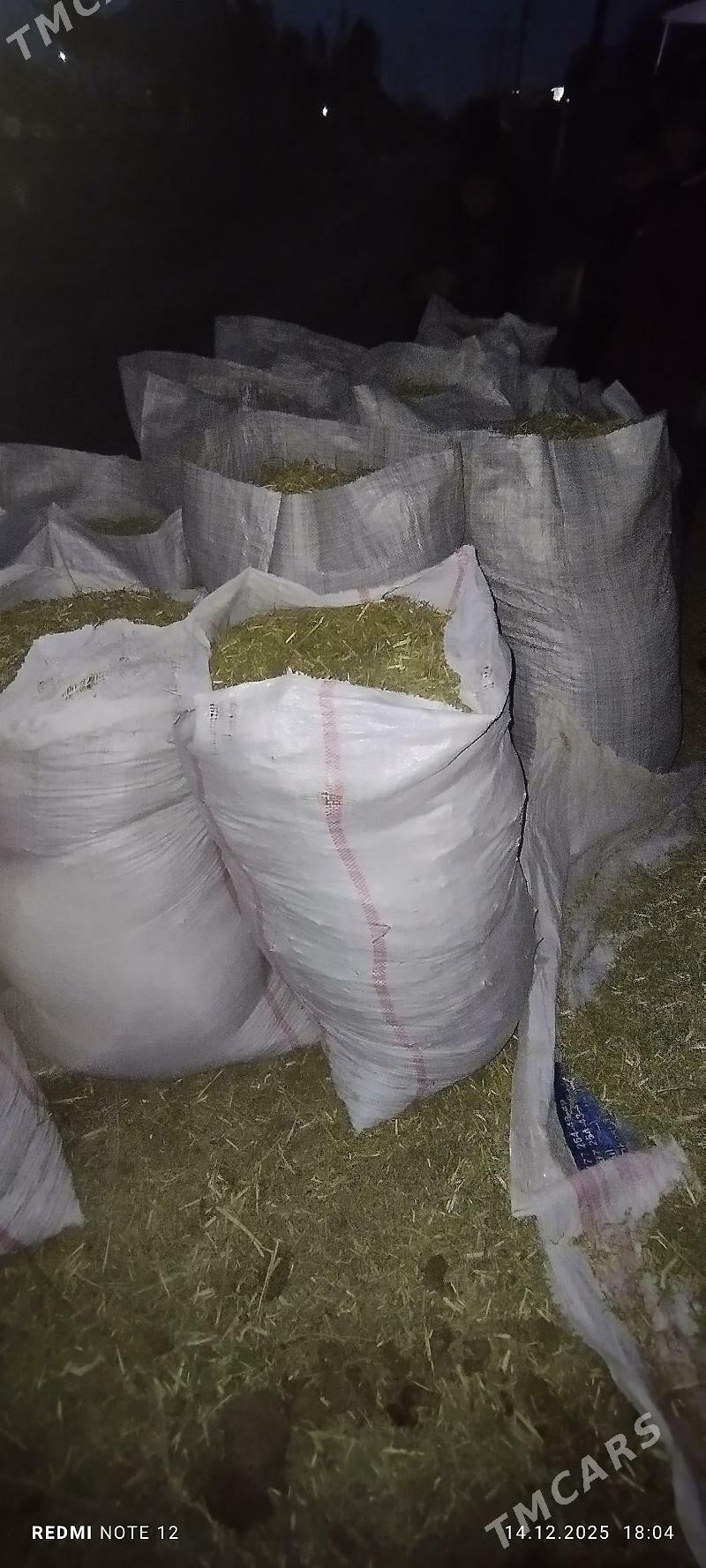 däneli ýandak - Murgap - img 1