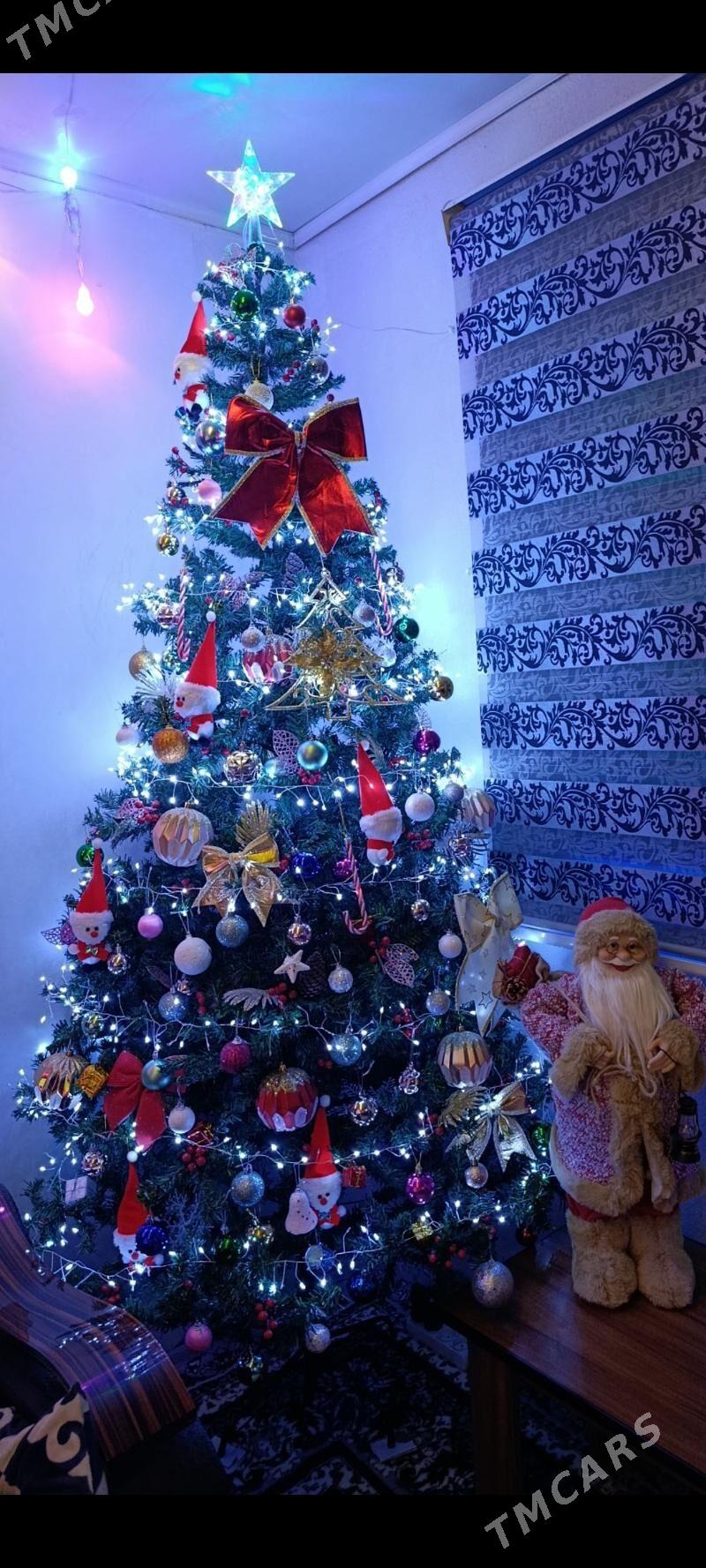 yolka - Анев - img 1