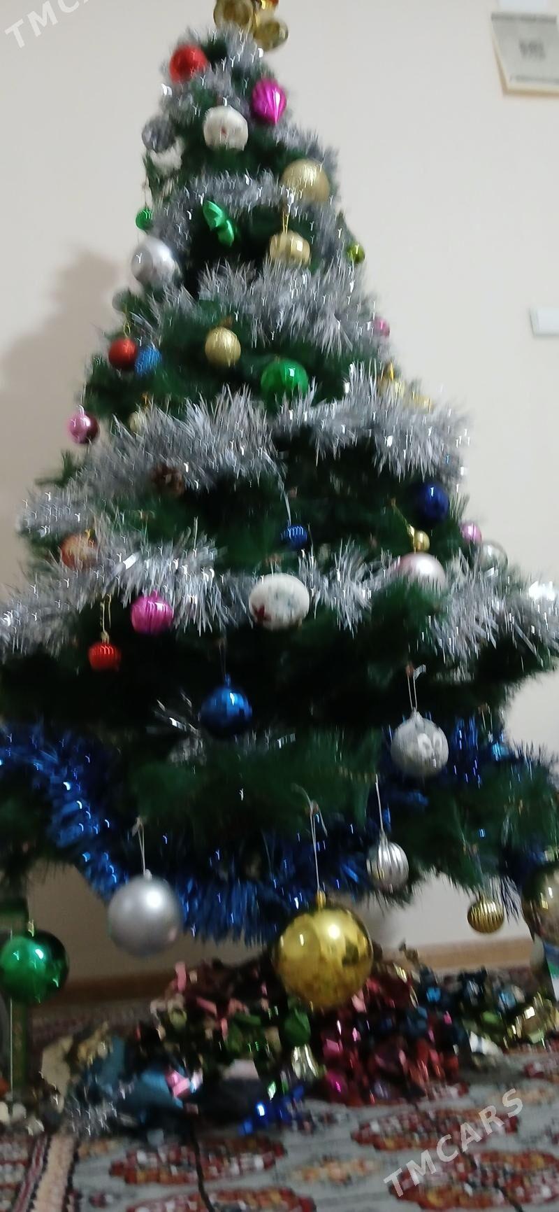 Yolka arca - Büzmeýin GRES - img 1