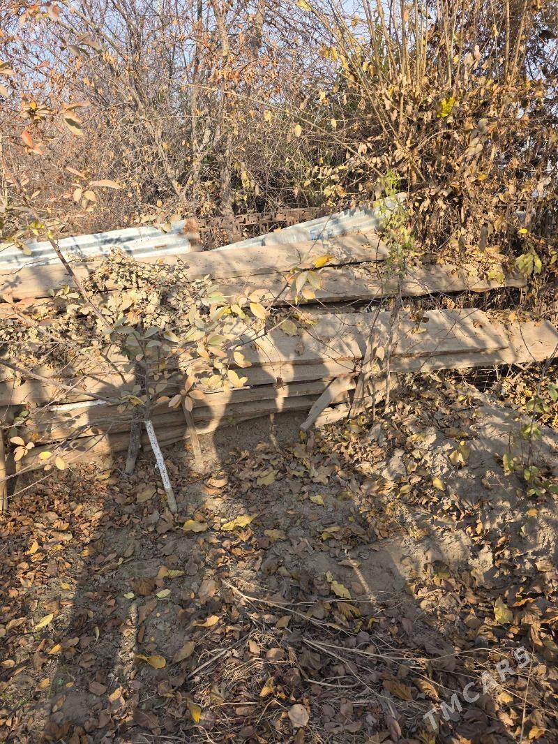 agac doska - Daşoguz - img 1