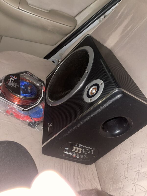 Bass bocka 1 000 TMT - Daşoguz - img 1