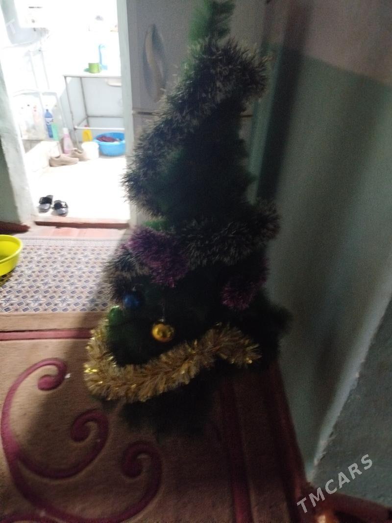 yolka - Balkanabat - img 1