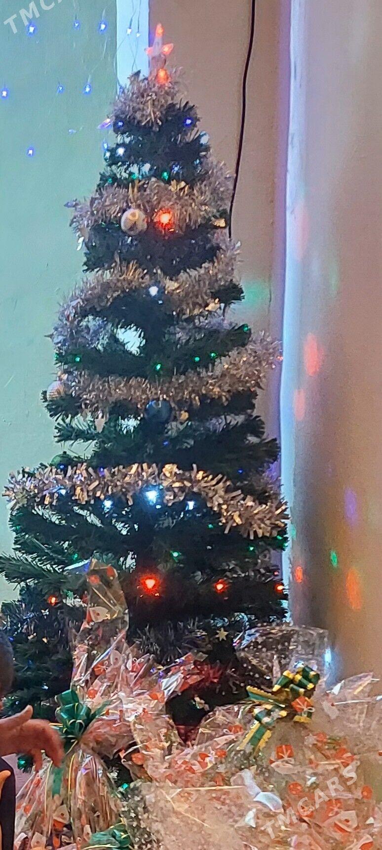 Ýolka - Herrikgala - img 1