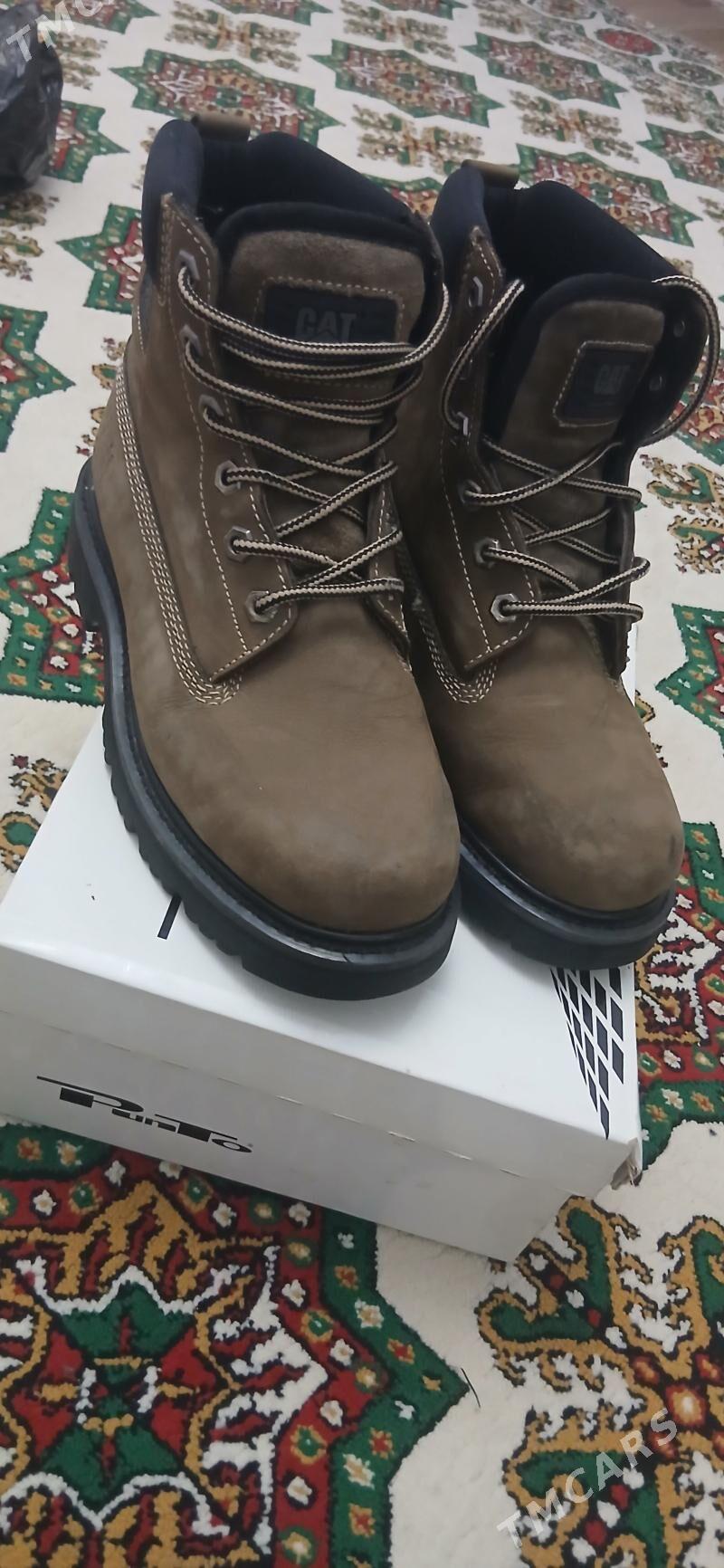 body - Parahat 7 - img 1