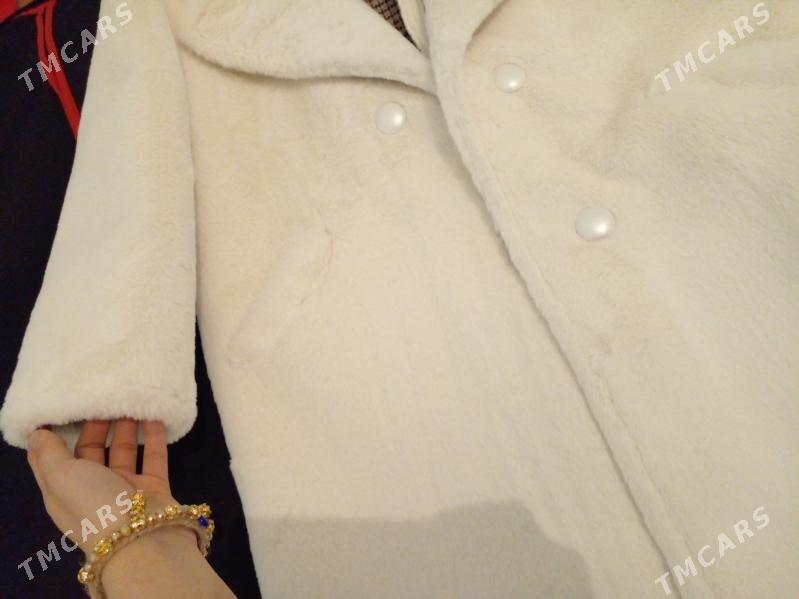 Satlyk - Balkanabat - img 1