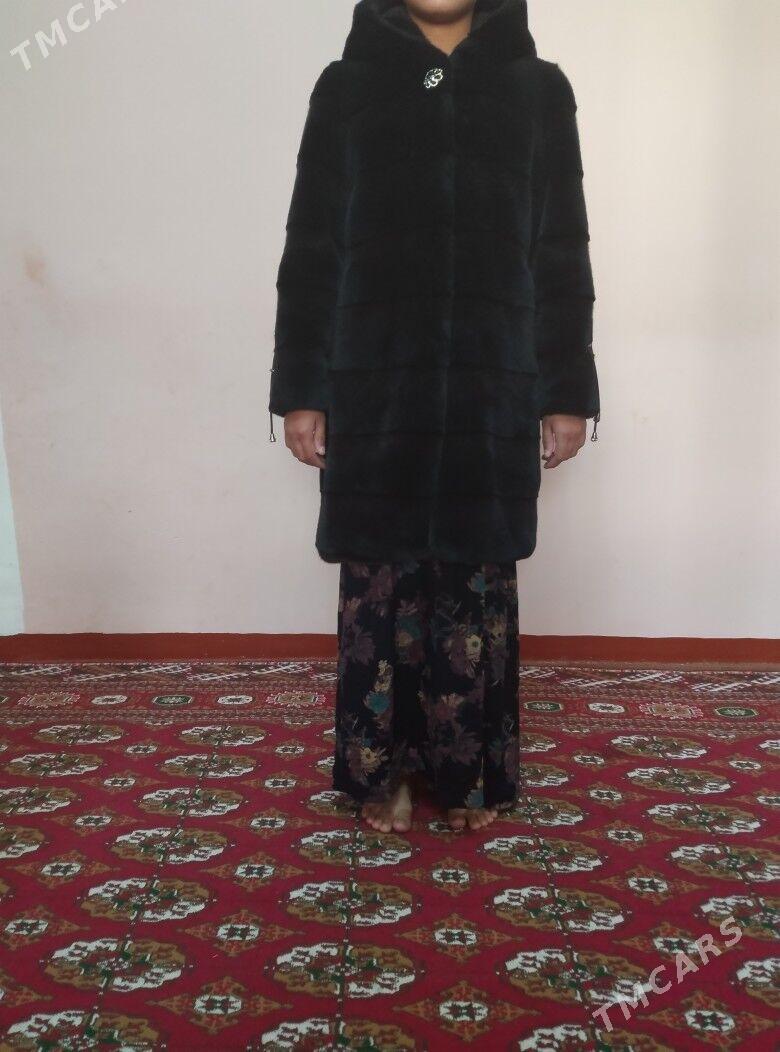 Şuba 7-8 klas gyzlara - Ruhabat (90-njy razýezd) - img 1