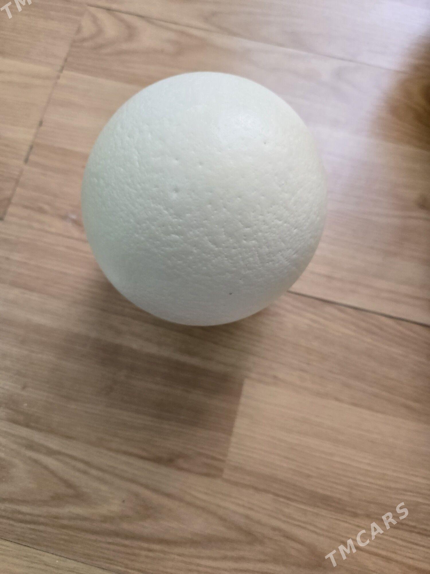 Düýeguş yumurtgasy suwenir üç - Aşgabat - img 1