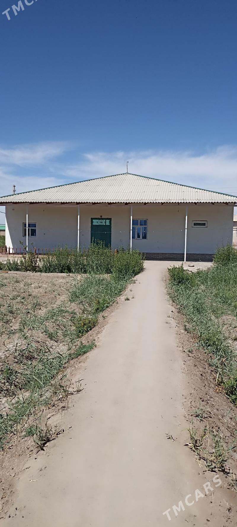 satlyk jaÿ - Boldumsaz - img 1