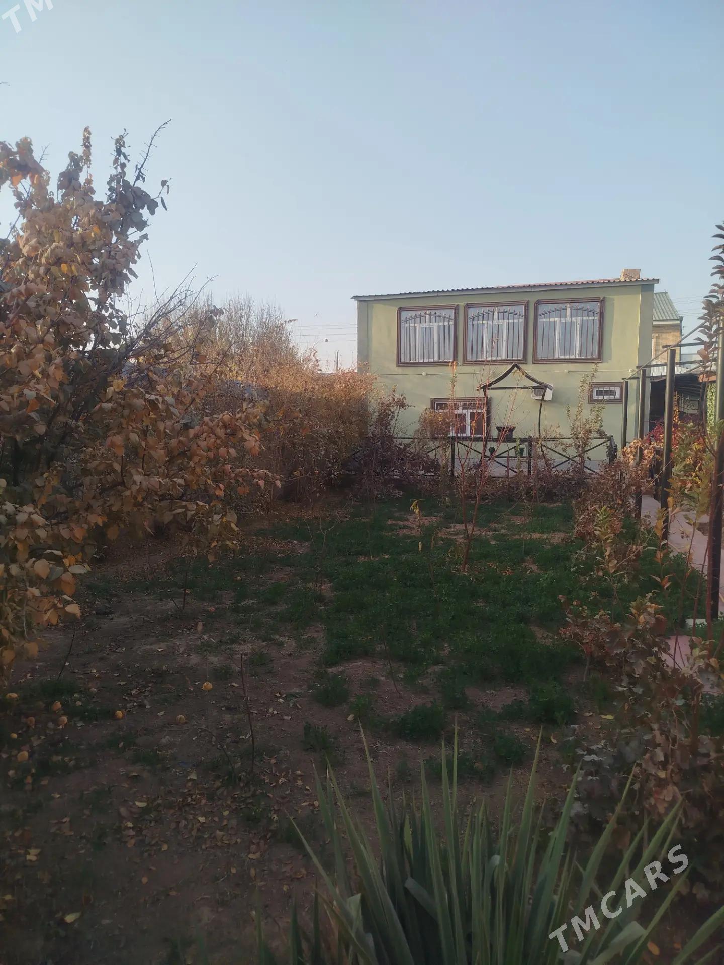 продаю дачу - Türkmenabat - img 1