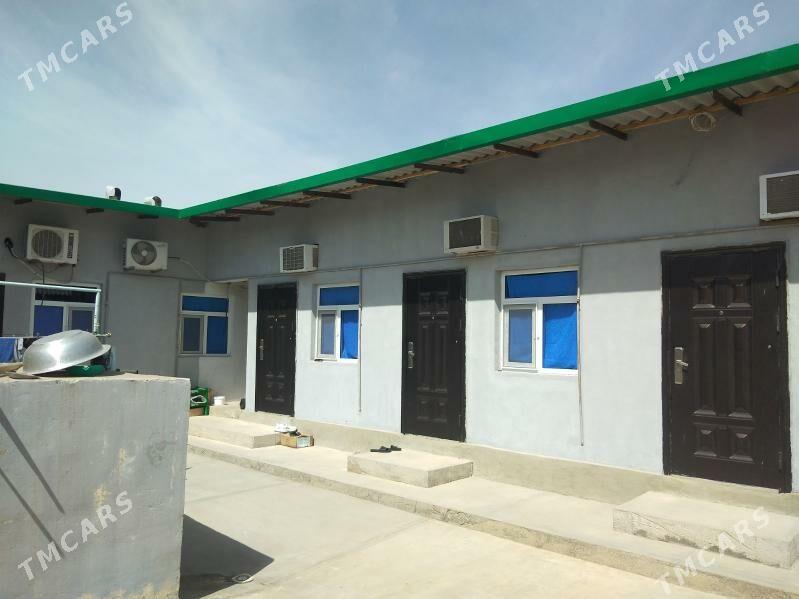 Kreyine jay - Hitrowka - img 1