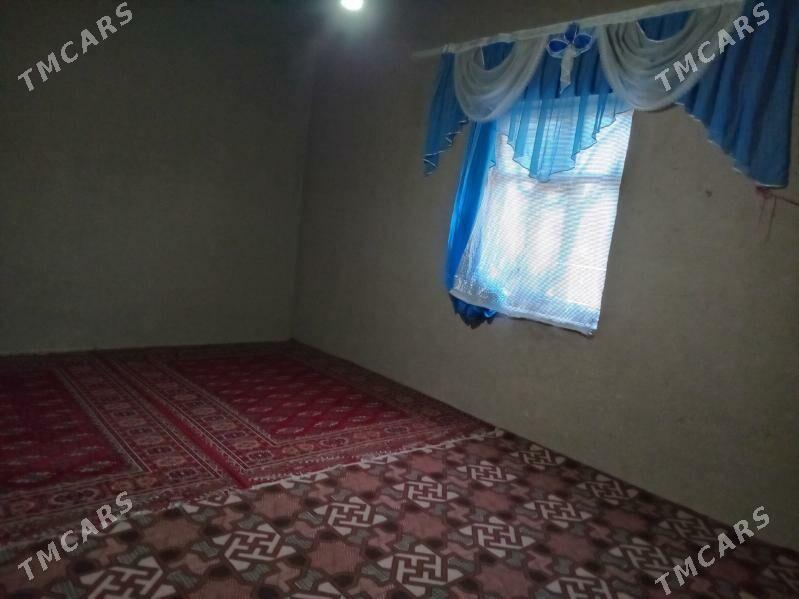 satlyk jay dasoguz welayat Gur - Gurbansoltan Eje - img 1