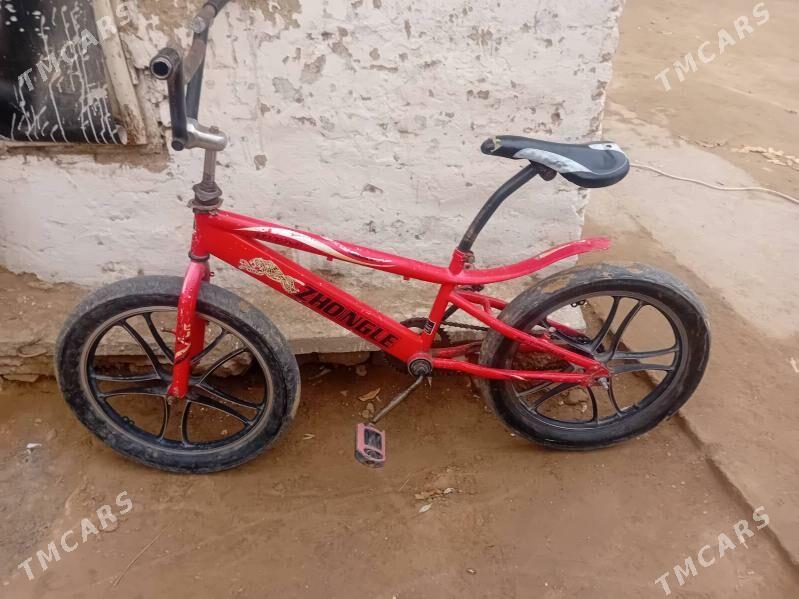 tigr - Gagarin köç, köne Howa menzili - img 1