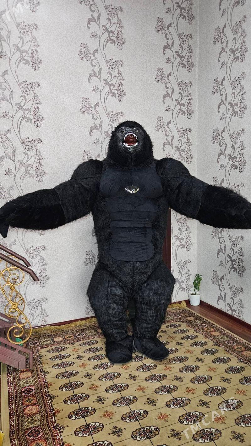Miska Gorilla Garylla - Aşgabat - img 1