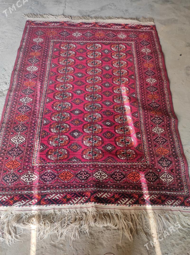 halylar - Türkmenabat - img 1