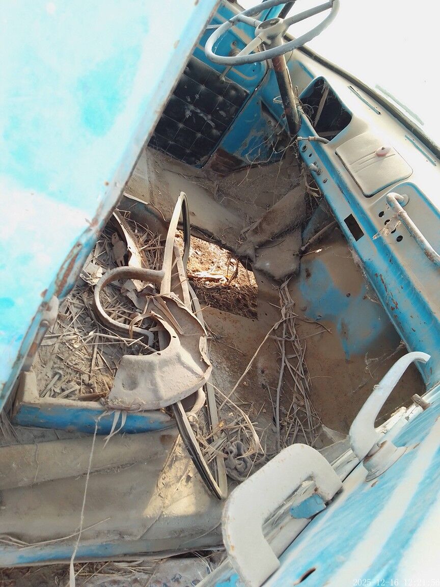 kawina 3 000 TMT - Векильбазар - img 1