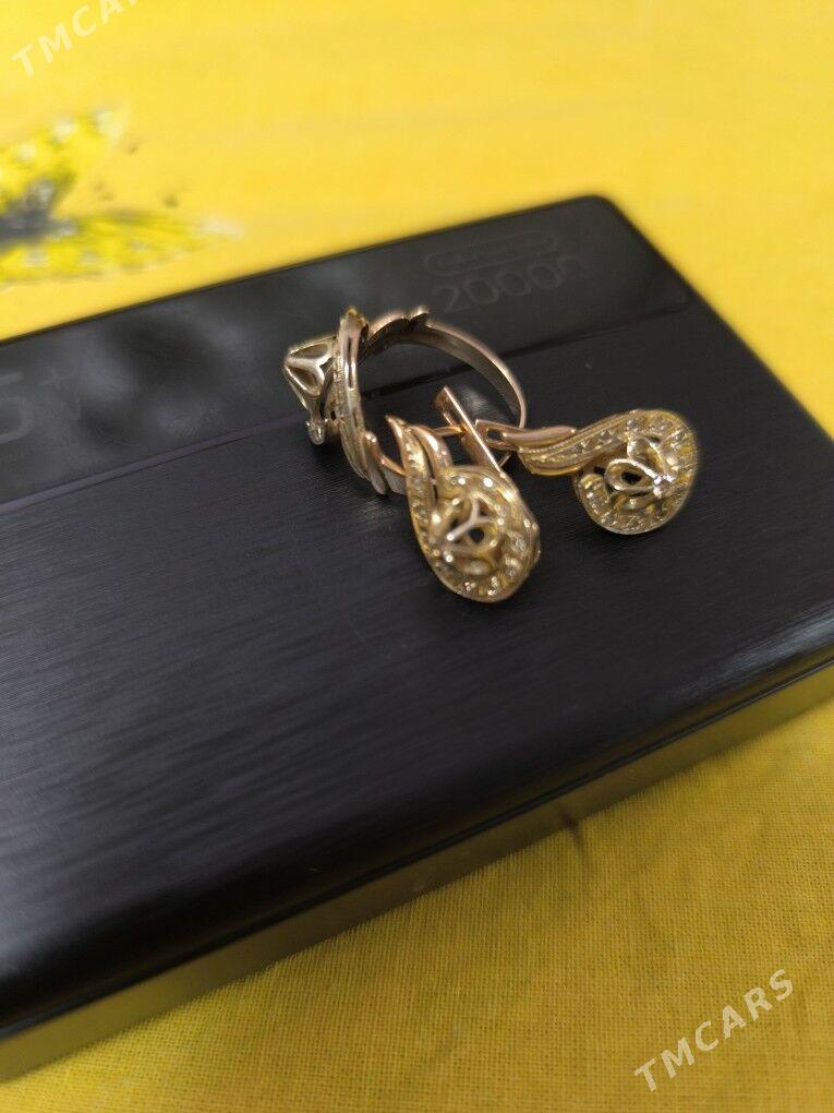 Гадым Скрипка - Daşoguz - img 1