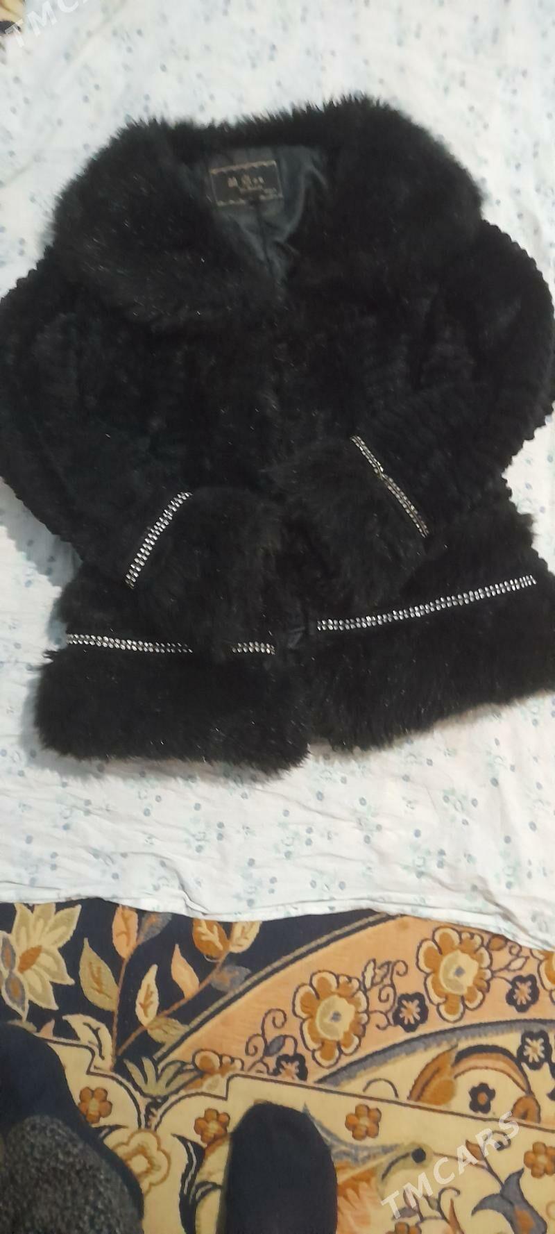 polton - Tagtabazar - img 1