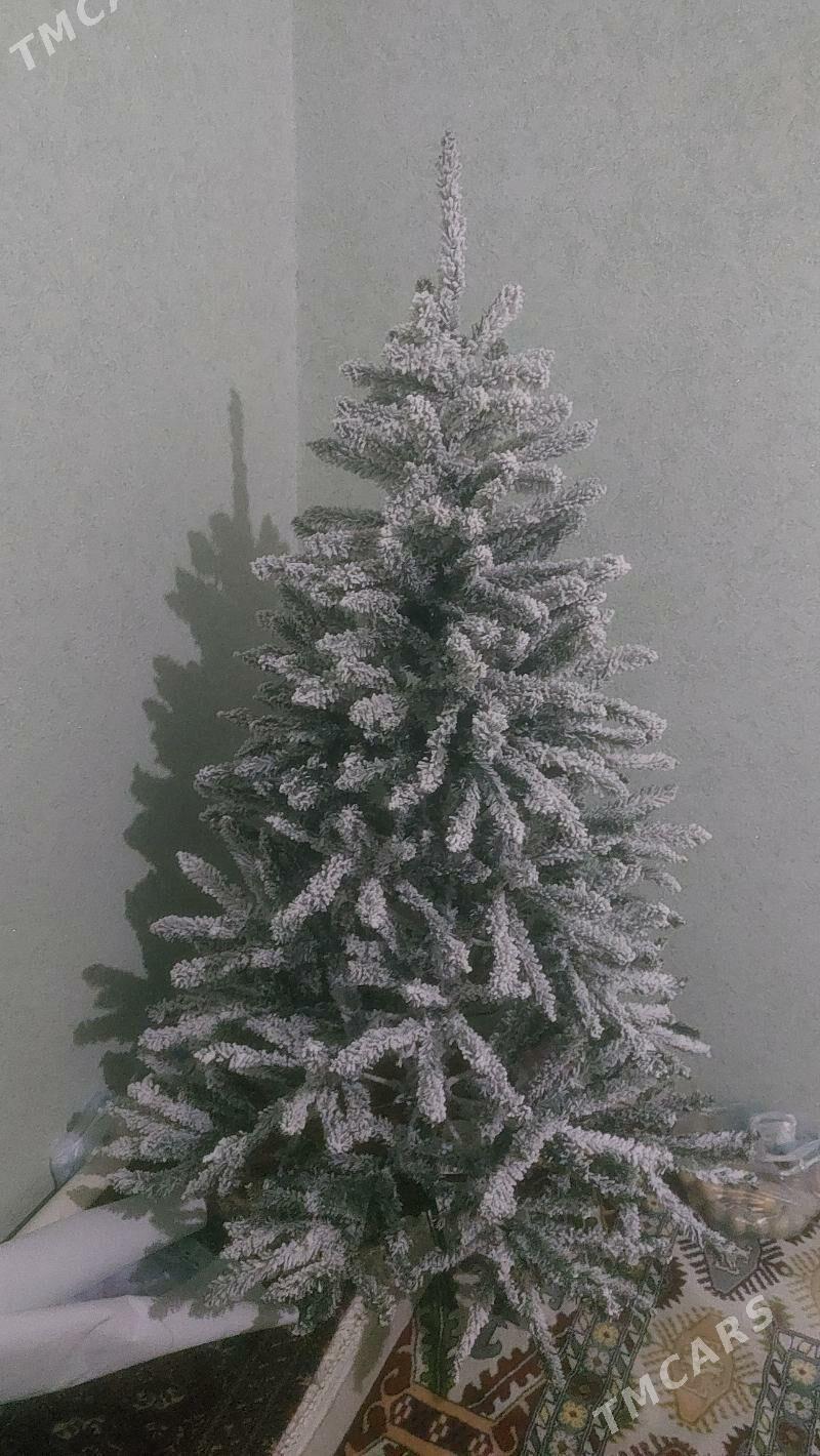 yolka arca - Мары - img 1