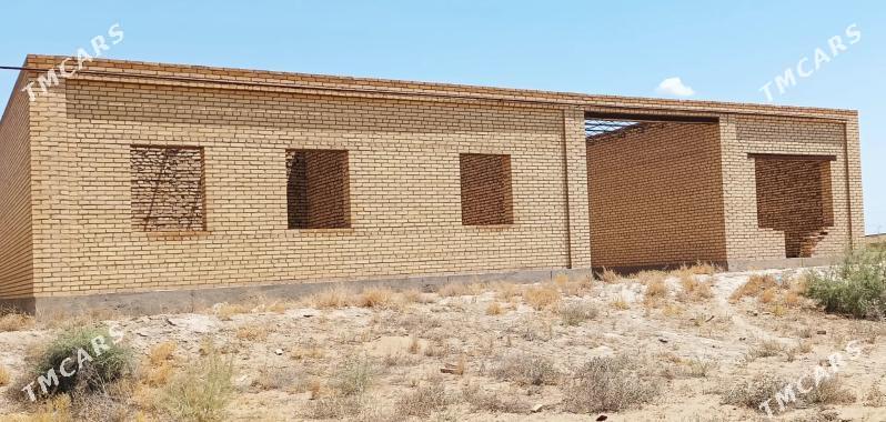 çöl jay 10 sotuk - Saýat - img 1