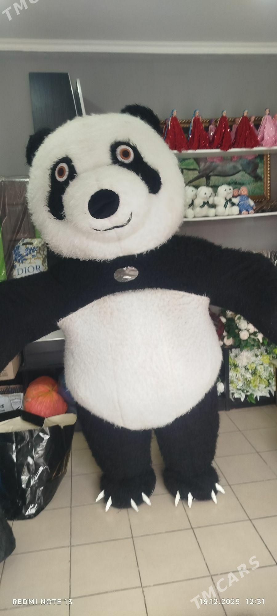 miska - Ашхабад - img 1