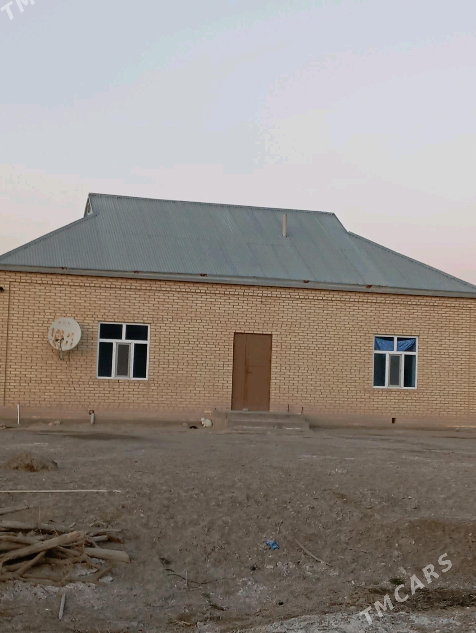 satlykjaý - Мургап - img 1