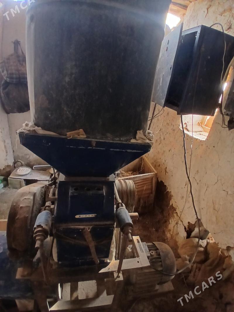 Un degirmen - Dostluk - img 1