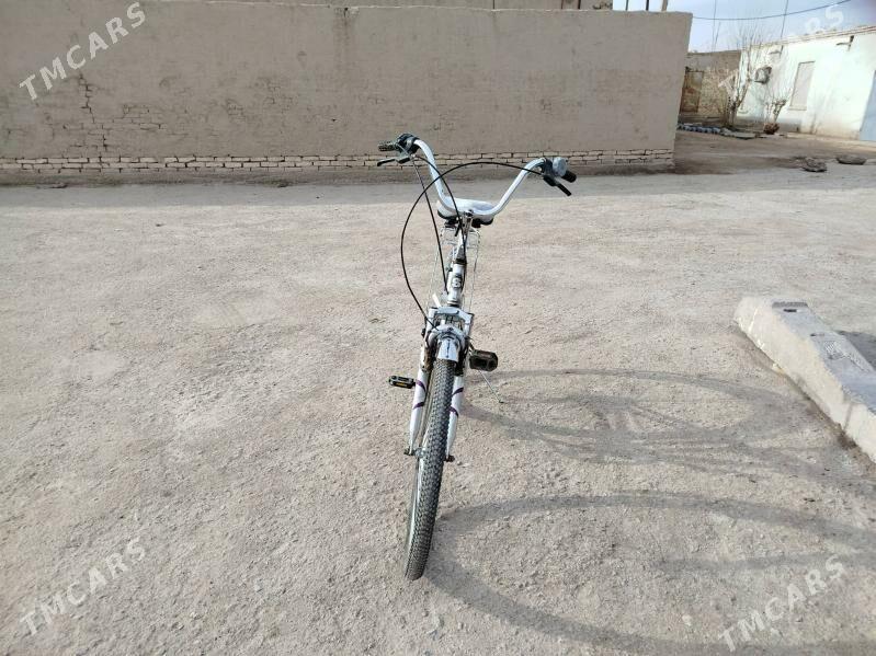 wellikwellik - Daşoguz - img 1