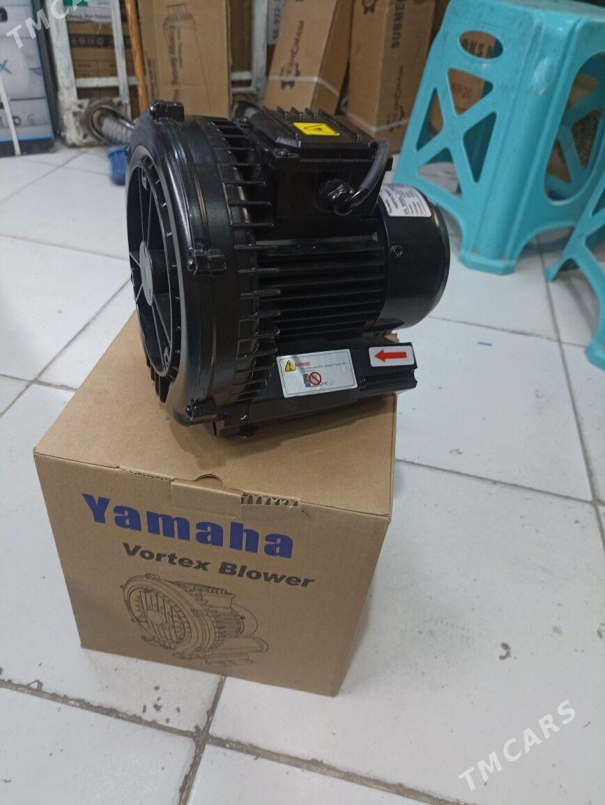 gaz nssos - "Altyn Asyr" Gündogar bazary (Jygyllyk) - img 1