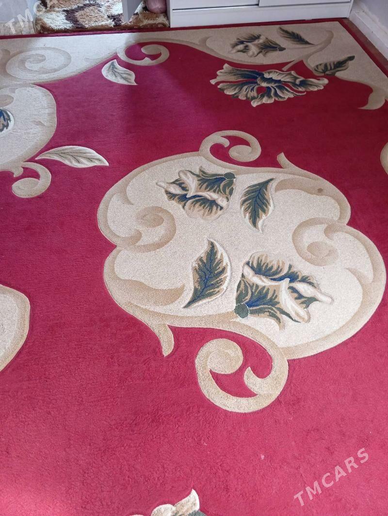 Haly - Балканабат - img 1