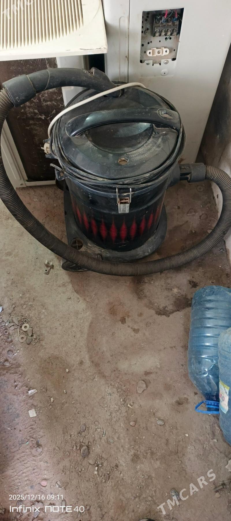 Plesos tozon sorjy - Mary - img 1