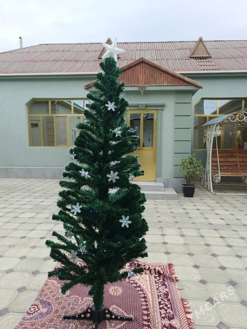 Táze ýyl arçasy - Balkanabat - img 1