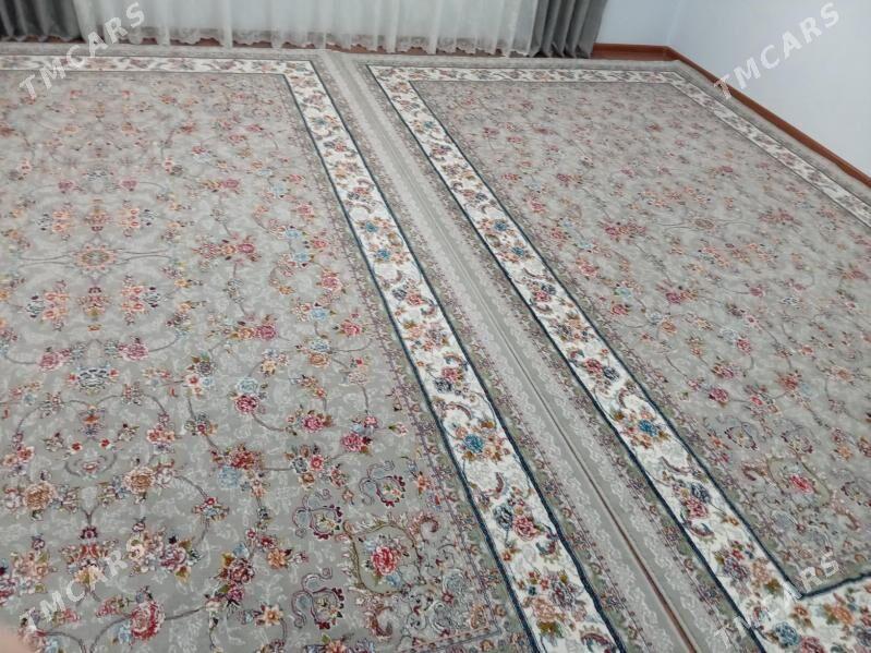 haly iran haly - Jebel - img 1