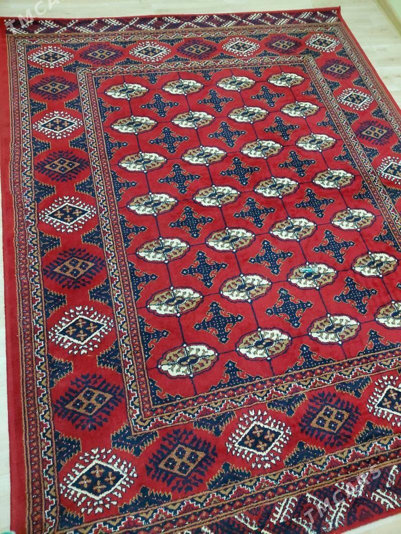 haly - Türkmenbaşy - img 1