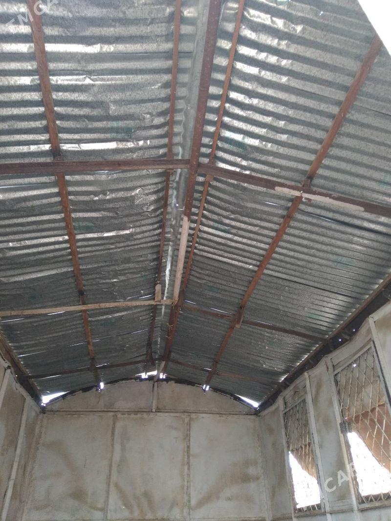 butga - Mary - img 1