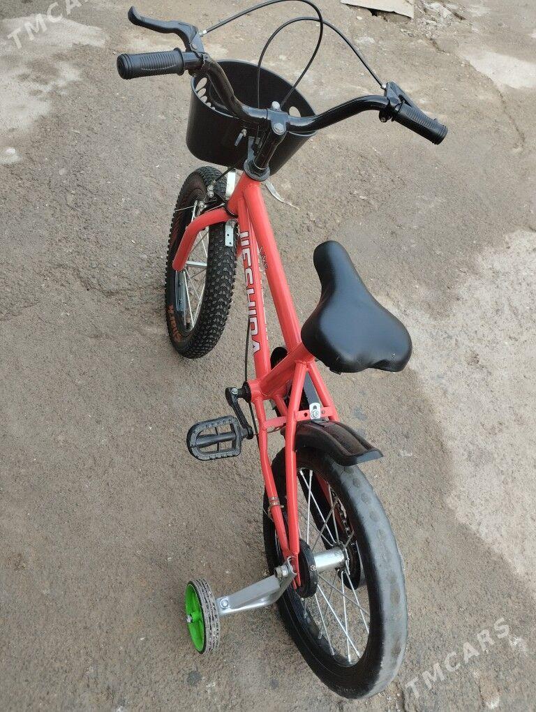 тигр.16 - Garadamak Şor - img 1