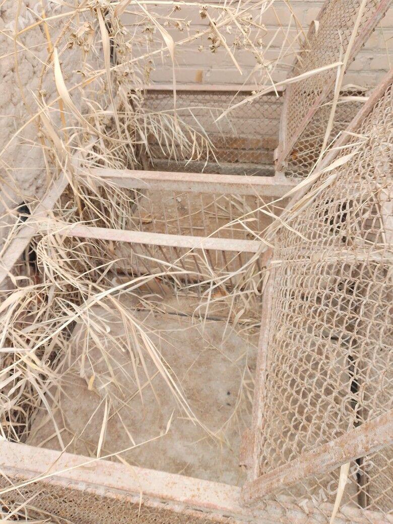 towsan ketek - Türkmenabat - img 1